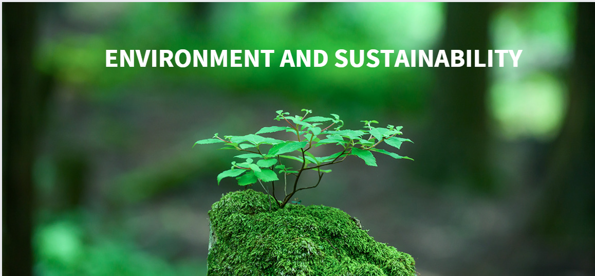 Environment and Sustainabilty
