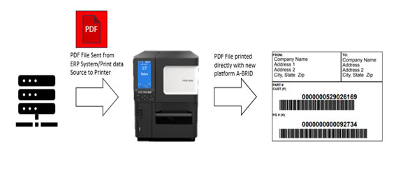 Retail and Printing Solutions