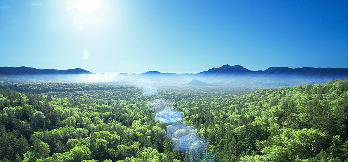 Environment and Sustainabilty